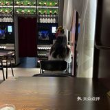0元玩转这座城