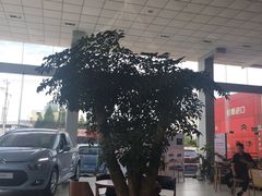 -上海先进东风标致雪铁龙4S店(青浦店)