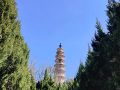 -崇圣寺三塔文化旅游区