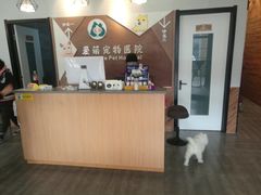 -美联众合宠物医院·爱萌分院·内外科·猫科中心