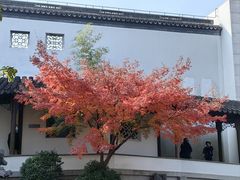 -秋霞圃