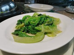-天鹰观渔(梦园店)