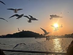 -阳澄湖半岛旅游度假区