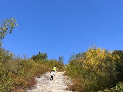 -香山公园