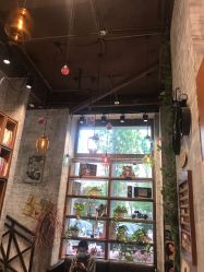 -T.1 hair salon烫染接发