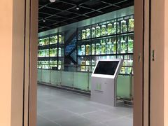 -广东中医药博物馆