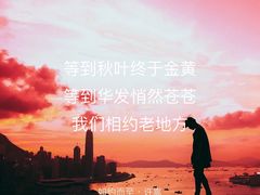 -左庭右院鲜牛肉火锅(浦江欢乐颂店)