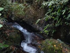 -阳台山森林公园