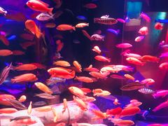 -沈阳海洋探索中心