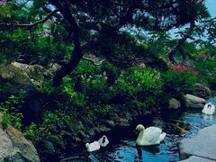 -罗红摄影艺术馆