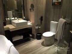 -常州环球恐龙城维景国际大酒店