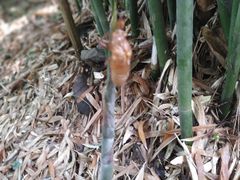 -陶祖圣境风景区