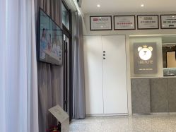 -三只熊皮肤管理中心旗舰店