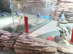 -正佳雨林生态植物园