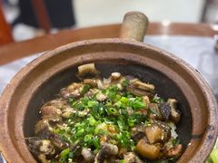 招牌黄鳝煲仔饭-红星光发煲仔饭(大石街店)
