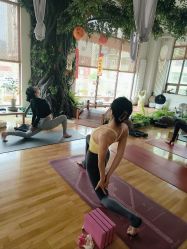 -花间禅净·瑜伽