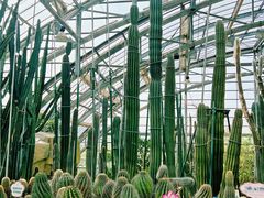 -南山植物园