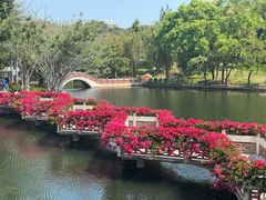 -深圳龙潭公园