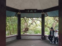 -江心屿景区