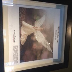 iphone_upload_pic-THE QUEEN(北京店)