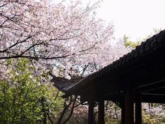 -杭州植物园