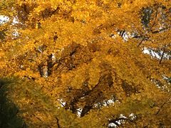 -辽宁大学(崇山校区)