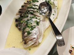 -沪碟·精菜坊(闵行店)