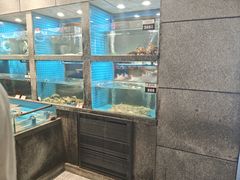 -码头鲜精致威海菜(欧乐坊店)