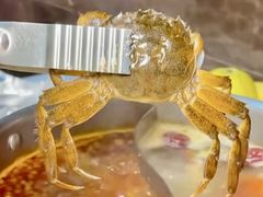 -苏格里岛自助烤肉海鲜火锅(成都金牛万达店)
