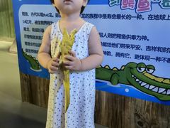 -石家庄海洋公园