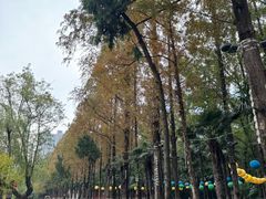 -包公祠
