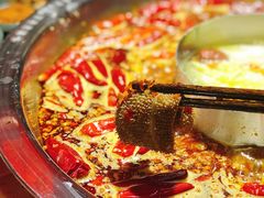 -谭鸭血老火锅(远大购物广场店)