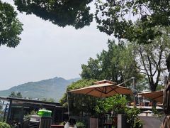 -蘇河湾·新鲁菜·泰山宴(泰山店)