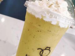 -飞行喵MR PILOT|猫舍·猫咖(静安大融城店)