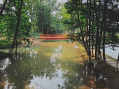 -桤木河湿地公园