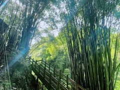 -凤栖山
