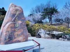 -北京西山国家森林公园