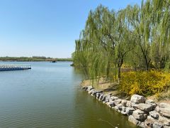 -大兴滨河森林公园