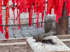 -红螺寺