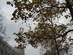 -蓬莱欧乐堡梦幻世界