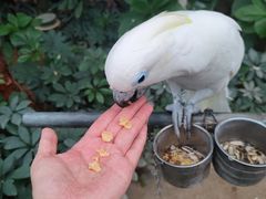 -南宫五洲植物乐园