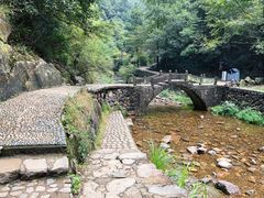 -大奇山国家森林公园
