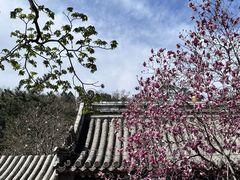 -潭柘寺景区