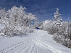 -亚布力新体委滑雪场