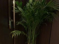 -小仙女采耳·按摩·SPA(深圳旗舰店)