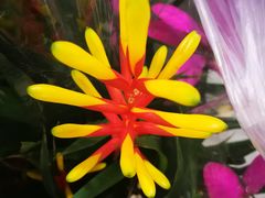 -三旗百汇商品城