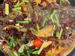 -老板恋上鱼(印象城店)