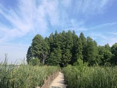 -东湖落雁景区