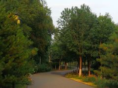 -永定河休闲森林公园