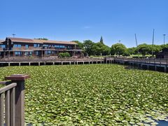 -苏州吴中太湖旅游区